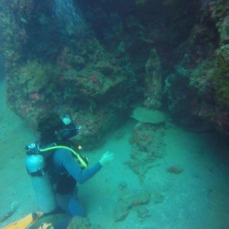 Anilao Scuba Dive Center Ξενοδοχείο Μπατάνγκας Εξωτερικό φωτογραφία
