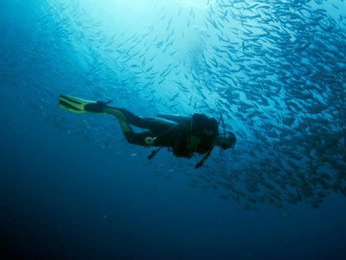 Anilao Scuba Dive Center Ξενοδοχείο Μπατάνγκας Εξωτερικό φωτογραφία
